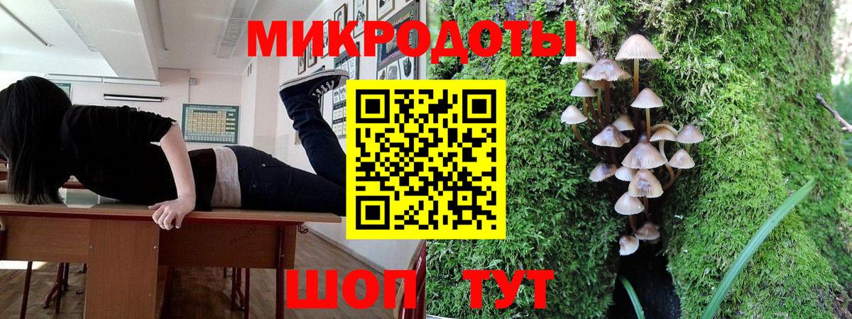 Псилоцибиновые грибы мухоморы Ленинск-Кузнецкий