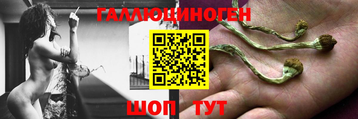 Псилоцибиновые грибы прущие грибы  Вход с VPN  Ленинск-Кузнецкий 